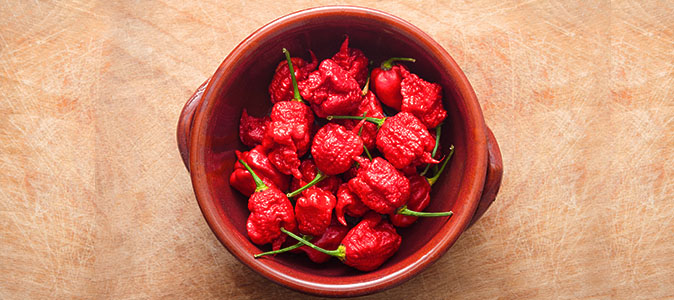 Carolina Reaper