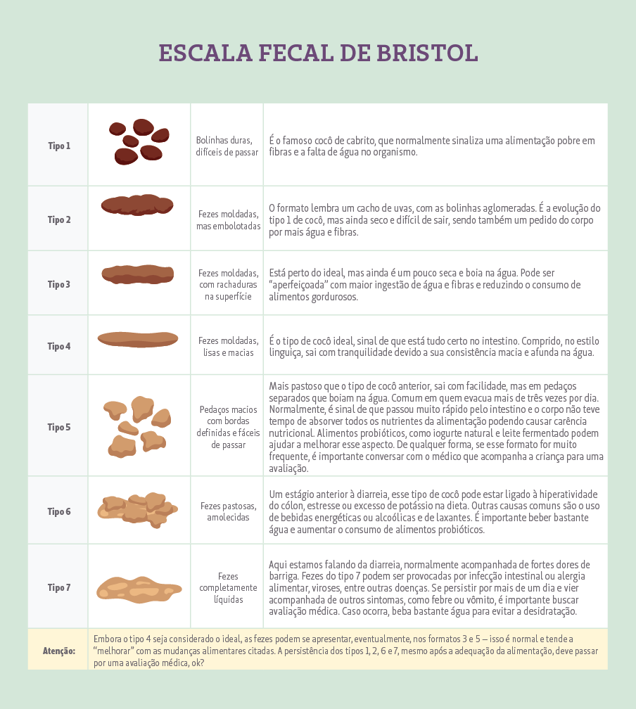 Escala de Bristol