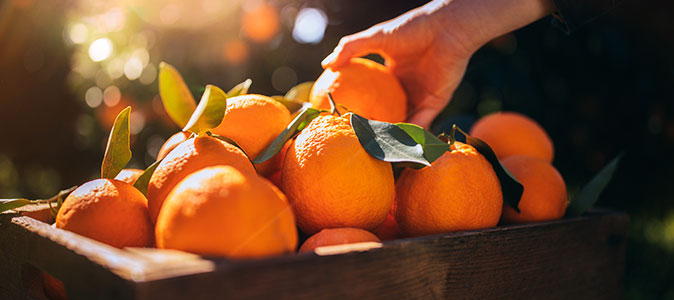 Laranjas em uma caixa de madeira